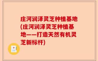 庄河润泽灵芝种植基地(庄河润泽灵芝种植基地——打造天然有机灵芝新标杆)