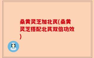 桑黄灵芝加北芪(桑黄灵芝搭配北芪双倍功效)