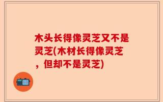 木头长得像灵芝又不是灵芝(木材长得像灵芝，但却不是灵芝)