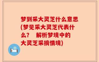 梦到采大灵芝什么意思(梦见采大灵芝代表什么？  解析梦境中的大灵芝采摘情境)