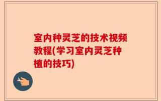 室内种灵芝的技术视频教程(学习室内灵芝种植的技巧)