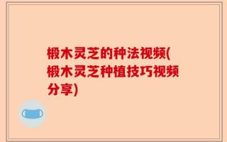 椴木灵芝的种法视频(椴木灵芝种植技巧视频分享)