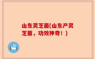 山东灵芝菌(山东产灵芝菌，功效神奇！)