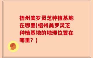 梧州美罗灵芝种植基地在哪里(梧州美罗灵芝种植基地的地理位置在哪里？)