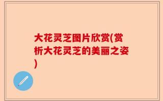 大花灵芝图片欣赏(赏析大花灵芝的美丽之姿)