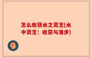 怎么收获水之灵芝(水中灵芝：收获与漫步)