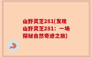 山野灵芝281(发现山野灵芝281：一场探秘自然奇迹之旅)