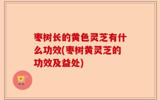 枣树长的黄色灵芝有什么功效(枣树黄灵芝的功效及益处)