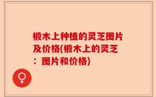 椴木上种植的灵芝图片及价格(椴木上的灵芝：图片和价格)