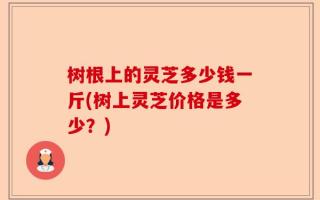 树根上的灵芝多少钱一斤(树上灵芝价格是多少？)