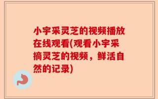 小宇采灵芝的视频播放在线观看(观看小宇采摘灵芝的视频，鲜活自然的记录)