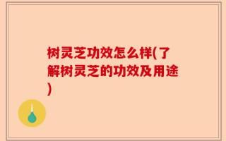 树灵芝功效怎么样(了解树灵芝的功效及用途)