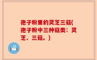 孢子粉里的灵芝三菇(孢子粉中三种菇类：灵芝、三菇。)