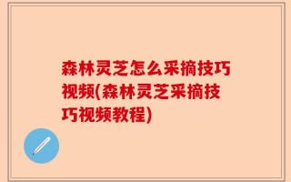 森林灵芝怎么采摘技巧视频(森林灵芝采摘技巧视频教程)