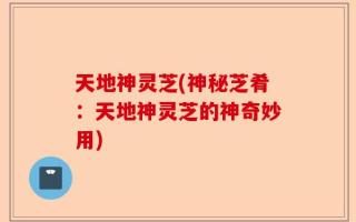 天地神灵芝(神秘芝肴：天地神灵芝的神奇妙用)