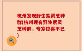 杭州发现野生紫灵芝种群(杭州现有野生紫灵芝种群，专家惊喜不已)