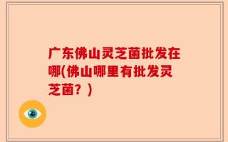 广东佛山灵芝菌批发在哪(佛山哪里有批发灵芝菌？)