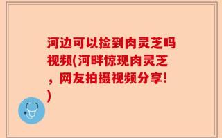 河边可以捡到肉灵芝吗视频(河畔惊现肉灵芝，网友拍摄视频分享!)