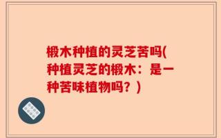 椴木种植的灵芝苦吗(种植灵芝的椴木：是一种苦味植物吗？)