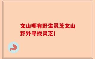 文山哪有野生灵芝文山野外寻找灵芝)