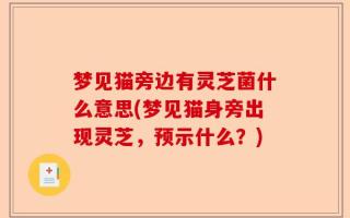 梦见猫旁边有灵芝菌什么意思(梦见猫身旁出现灵芝，预示什么？)