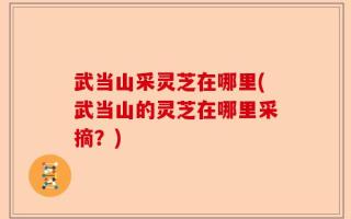 武当山采灵芝在哪里(武当山的灵芝在哪里采摘？)