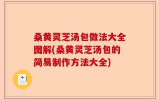 桑黄灵芝汤包做法大全图解(桑黄灵芝汤包的简易制作方法大全)