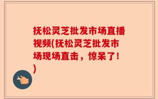 抚松灵芝批发市场直播视频(抚松灵芝批发市场现场直击，惊呆了！)