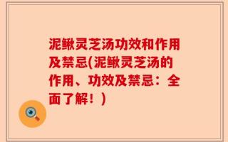 泥鳅灵芝汤功效和作用及禁忌(泥鳅灵芝汤的作用、功效及禁忌：全面了解！)