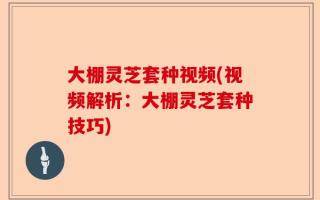 大棚灵芝套种视频(视频解析：大棚灵芝套种技巧)