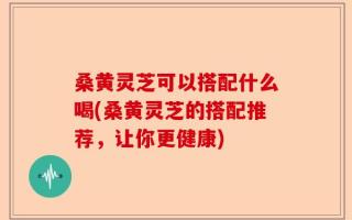 桑黄灵芝可以搭配什么喝(桑黄灵芝的搭配推荐，让你更健康)
