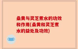 桑黄与灵芝煮水的功效和作用(桑黄和灵芝煮水的益处及功效)