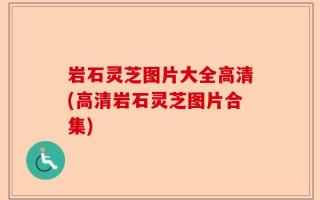 岩石灵芝图片大全高清(高清岩石灵芝图片合集)