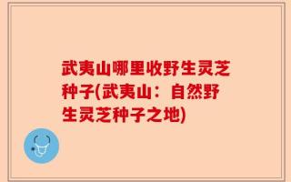 武夷山哪里收野生灵芝种子(武夷山：自然野生灵芝种子之地)