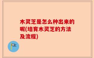 木灵芝是怎么种出来的呢(培育木灵芝的方法及流程)