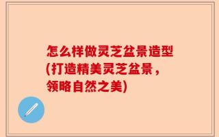 怎么样做灵芝盆景造型(打造精美灵芝盆景，领略自然之美)