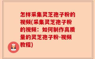 怎样采集灵芝孢子粉的视频(采集灵芝孢子粉的视频：如何制作高质量的灵芝孢子粉-视频教程)