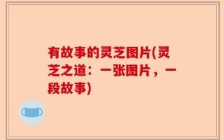 有故事的灵芝图片(灵芝之道：一张图片，一段故事)