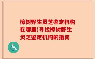 樟树野生灵芝鉴定机构在哪里(寻找樟树野生灵芝鉴定机构的指南