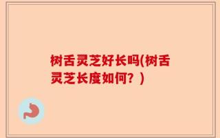 树舌灵芝好长吗(树舌灵芝长度如何？)