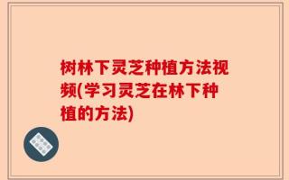 树林下灵芝种植方法视频(学习灵芝在林下种植的方法)