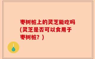 枣树桩上的灵芝能吃吗(灵芝是否可以食用于枣树桩？)