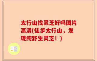 太行山找灵芝好吗图片高清(徒步太行山，发现纯野生灵芝！)