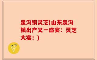 泉沟镇灵芝(山东泉沟镇出产又一盛宴：灵芝大宴！)