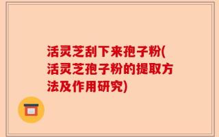 活灵芝刮下来孢子粉(活灵芝孢子粉的提取方法及作用研究)