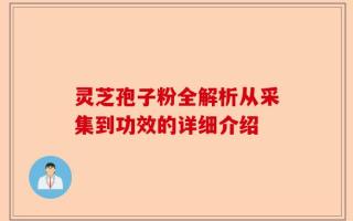 灵芝孢子粉全解析从采集到功效的详细介绍