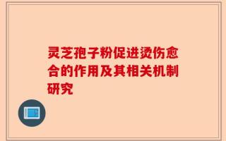 灵芝孢子粉促进烫伤愈合的作用及其相关机制研究