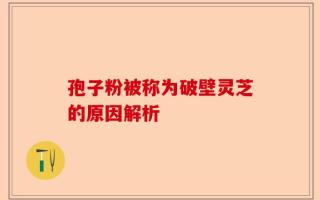 孢子粉被称为破壁灵芝的原因解析