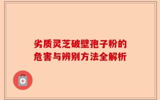 劣质灵芝破壁孢子粉的危害与辨别方法全解析