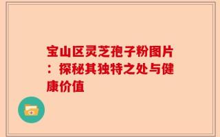 宝山区灵芝孢子粉图片：探秘其独特之处与健康价值